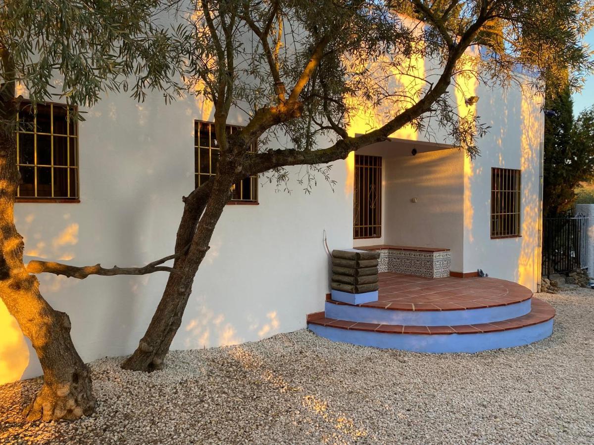Dragonfly House Spain 安特克拉 外观 照片